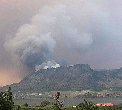 EVACUATION ORDER - Nk'Mip Wildfire EVACUATION ORDER - Nk'Mip Wildfire